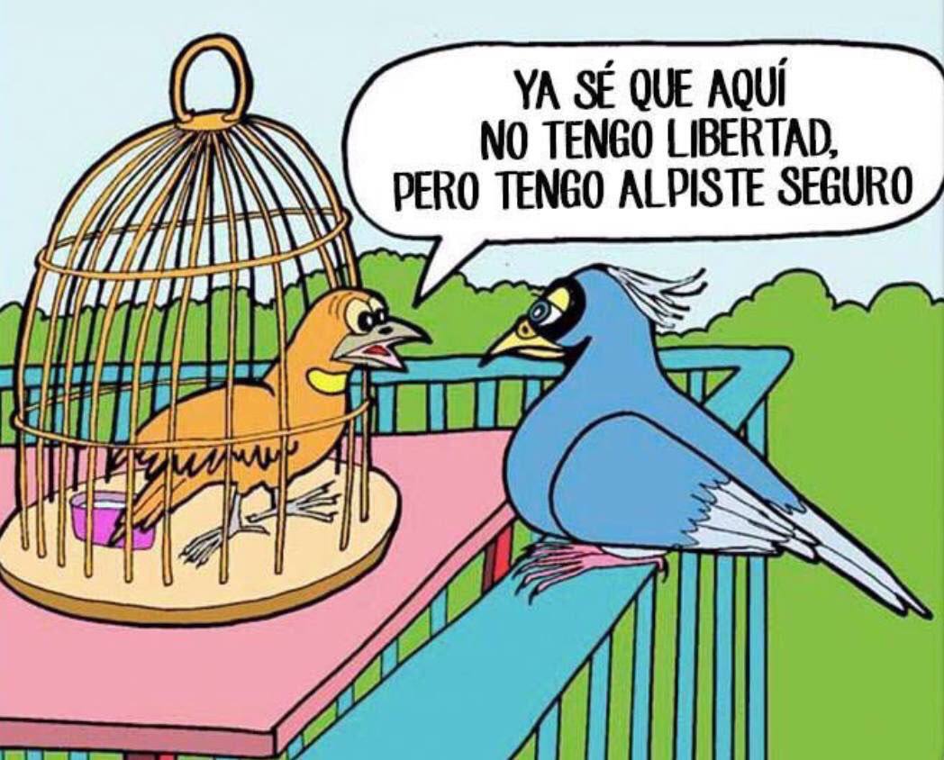Alpiste seguro...