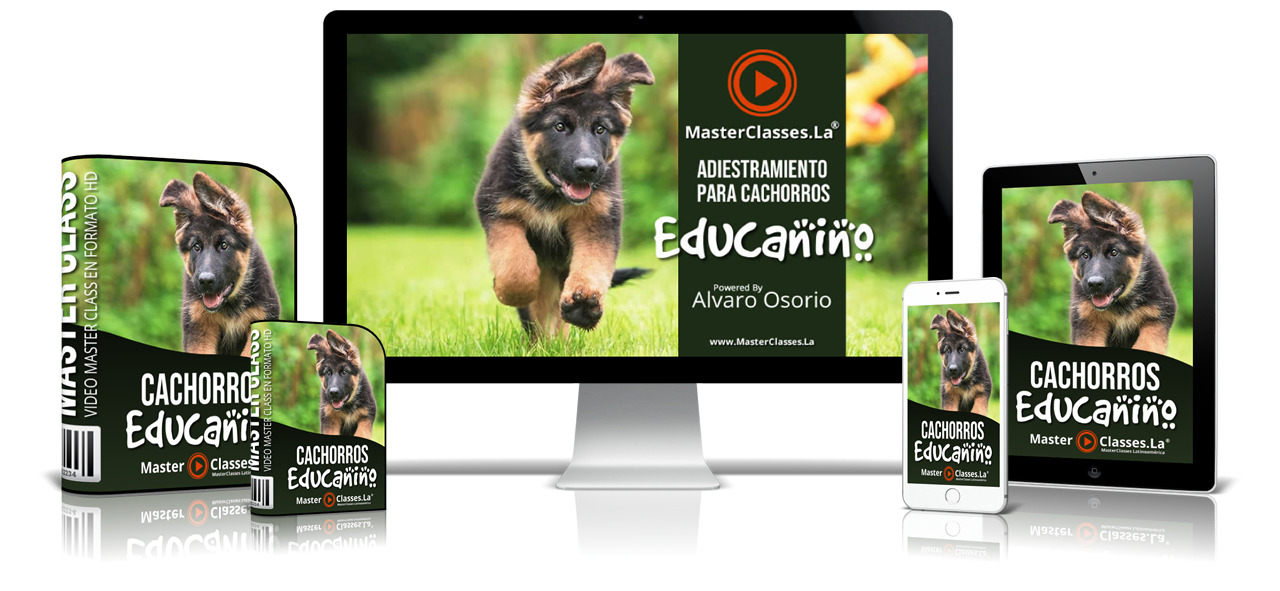 Educanino - Seminarios Online Educanino - Seminarios Online